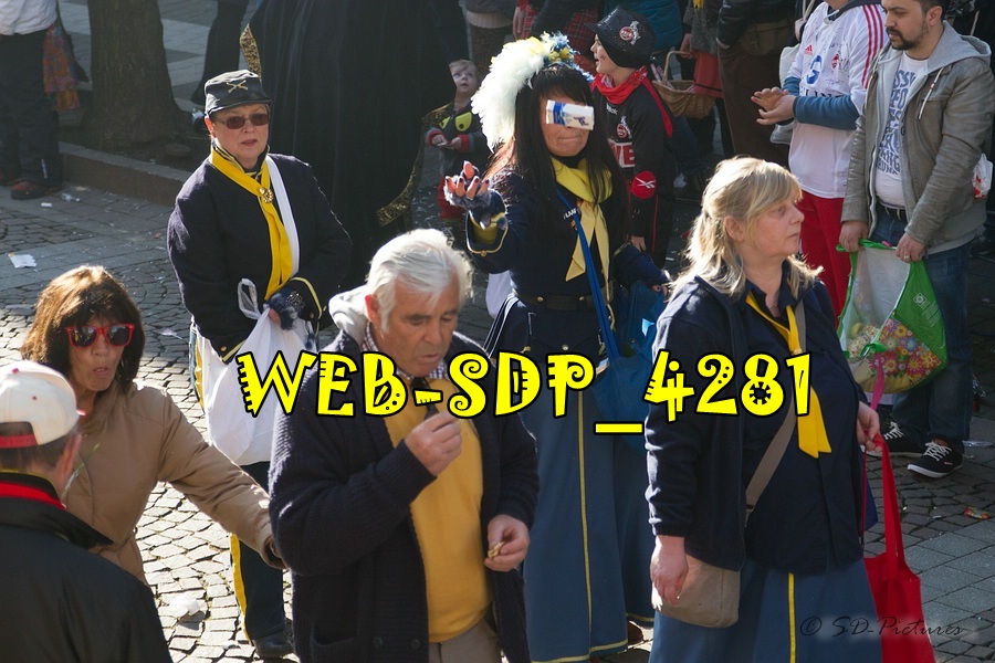 WEB SDP 4281