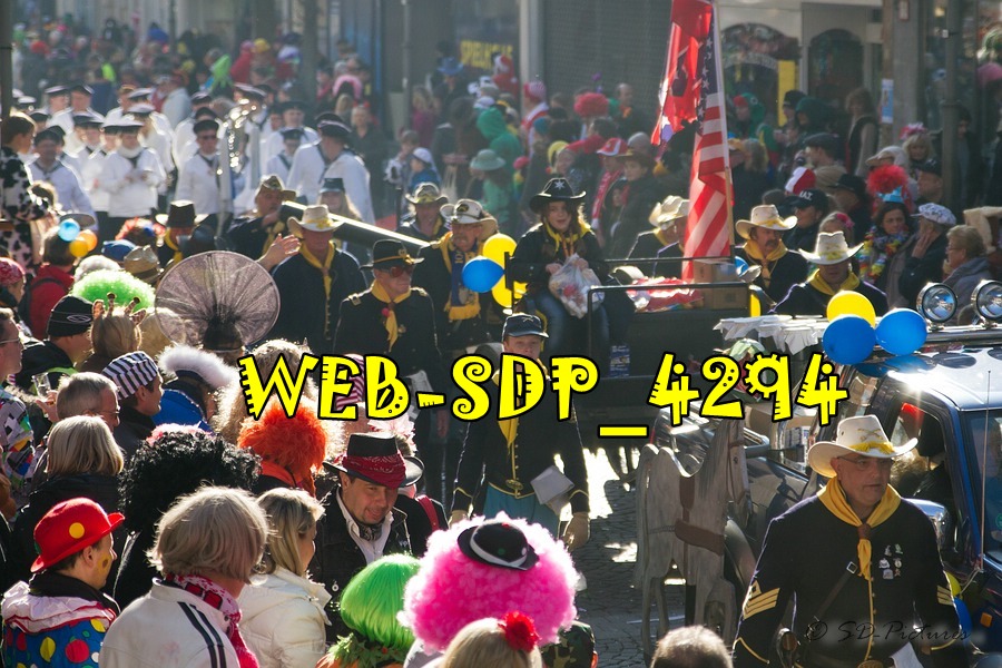 WEB SDP 4294