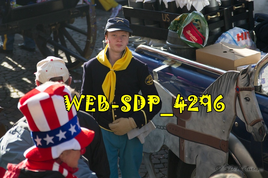 WEB SDP 4296
