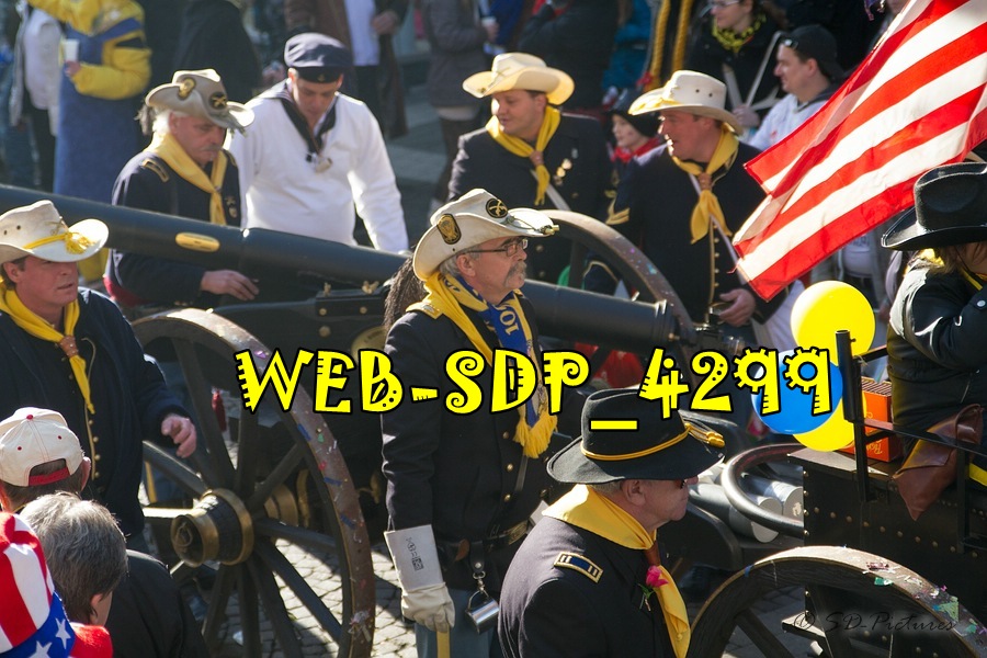 WEB SDP 4299