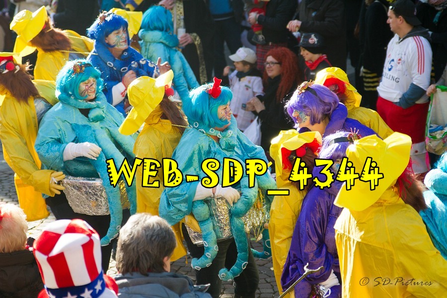WEB SDP 4344