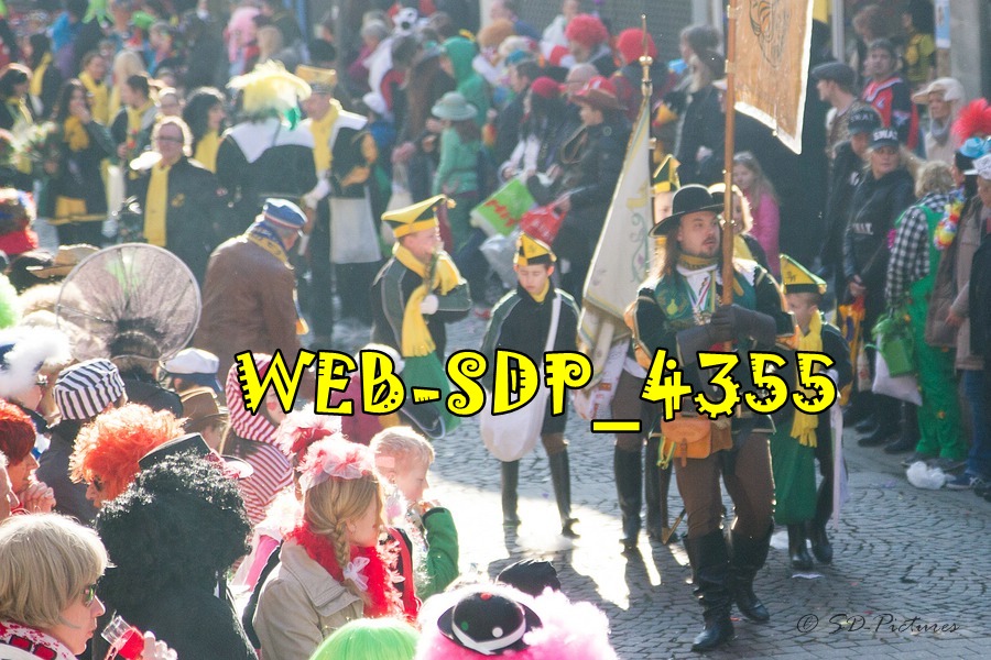 WEB SDP 4355