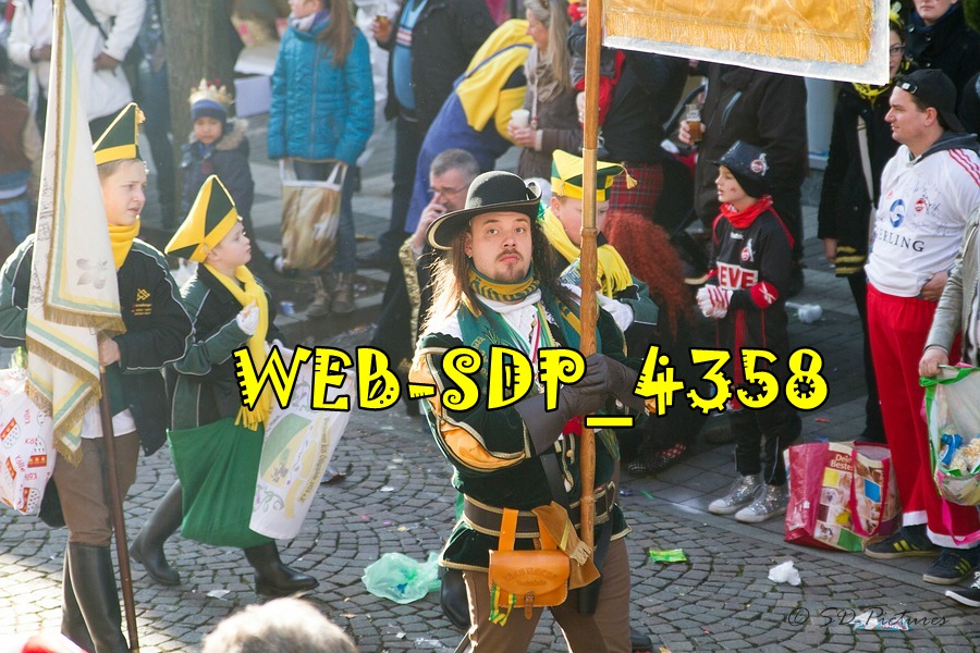 WEB SDP 4358