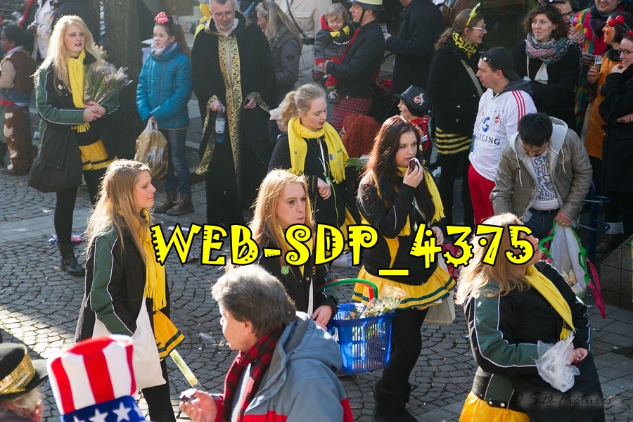 WEB SDP 4375