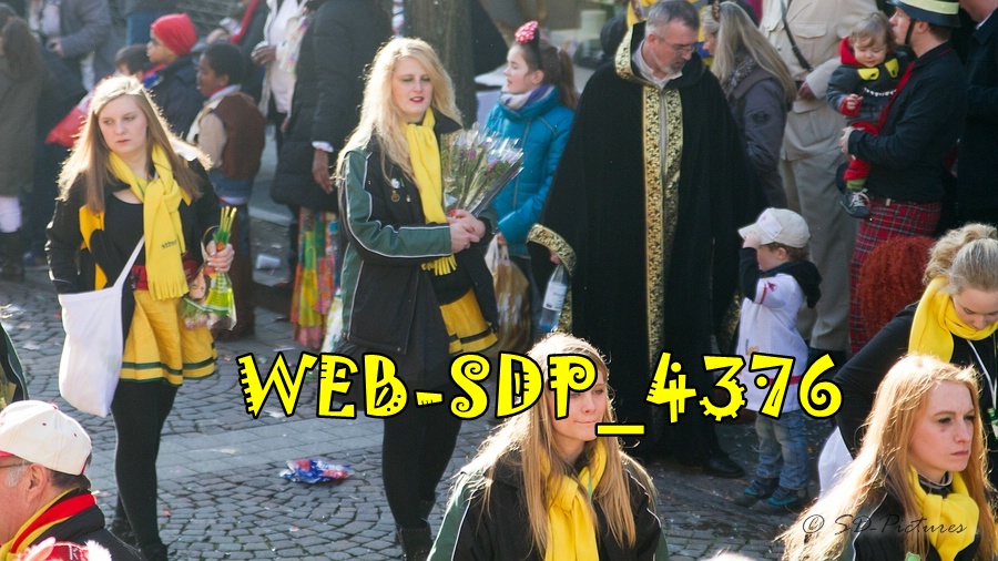 WEB SDP 4376