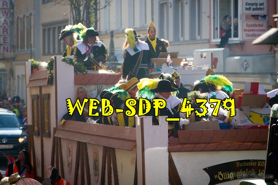 WEB SDP 4379