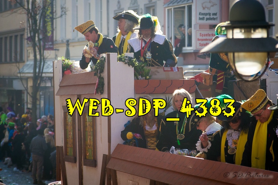 WEB SDP 4383