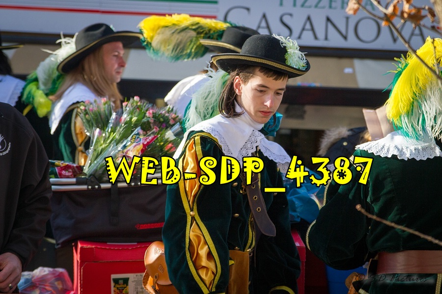 WEB SDP 4387