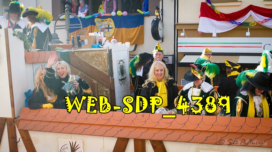 WEB SDP 4389