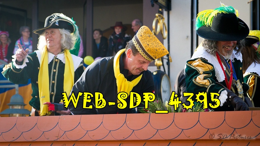 WEB SDP 4395