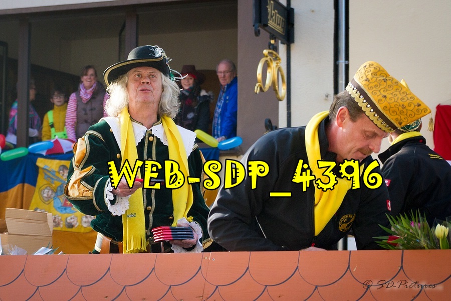 WEB SDP 4396