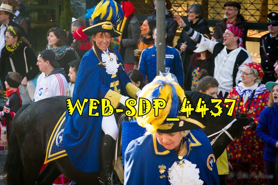 WEB SDP 4437