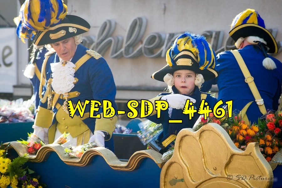 WEB SDP 4461