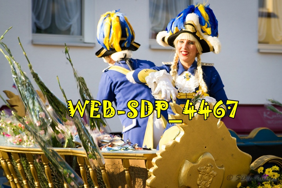 WEB SDP 4467