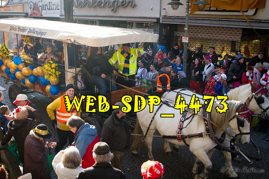 WEB SDP 4473