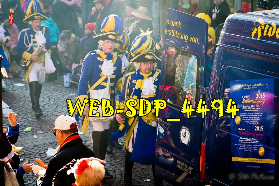 WEB SDP 4494