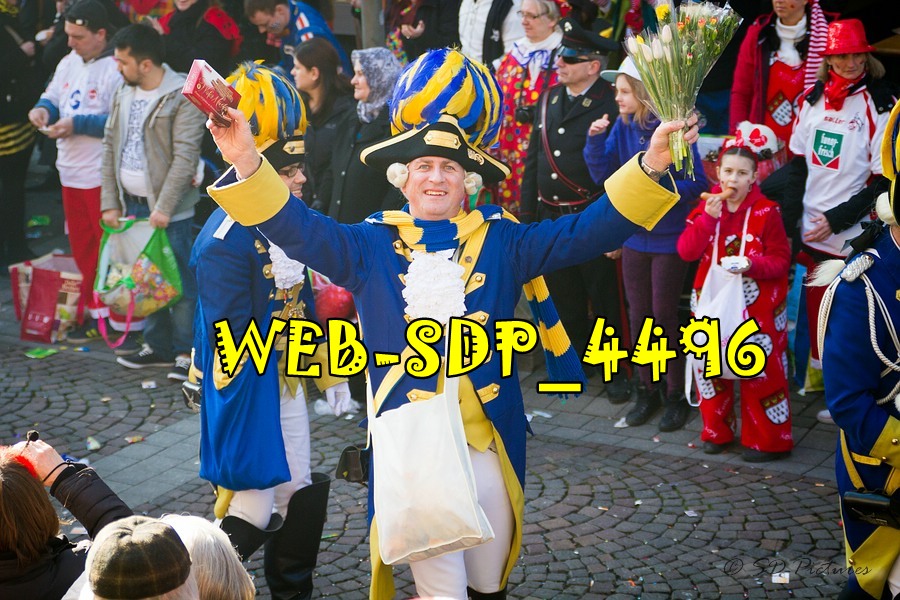 WEB SDP 4496