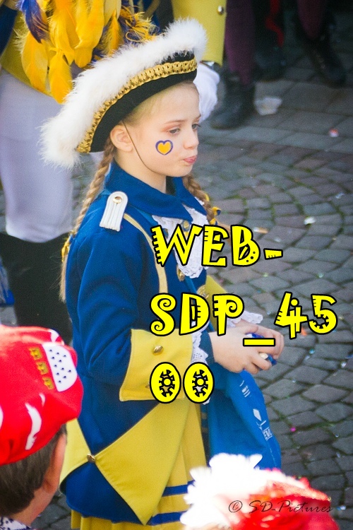 WEB SDP 4500