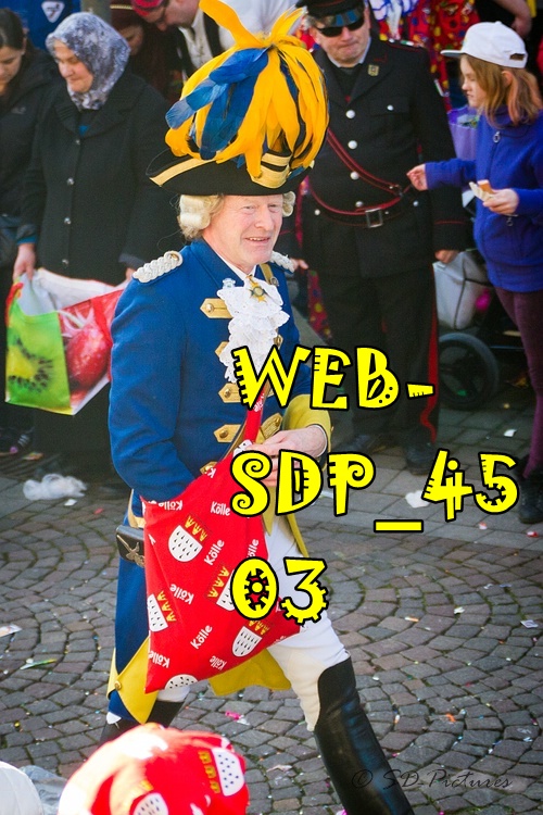 WEB SDP 4503
