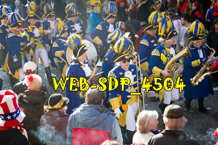 WEB SDP 4504