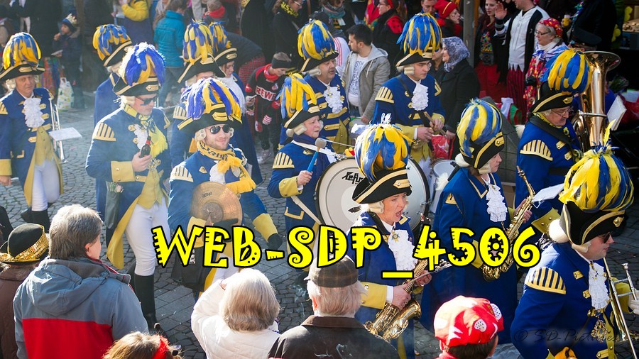 WEB SDP 4506