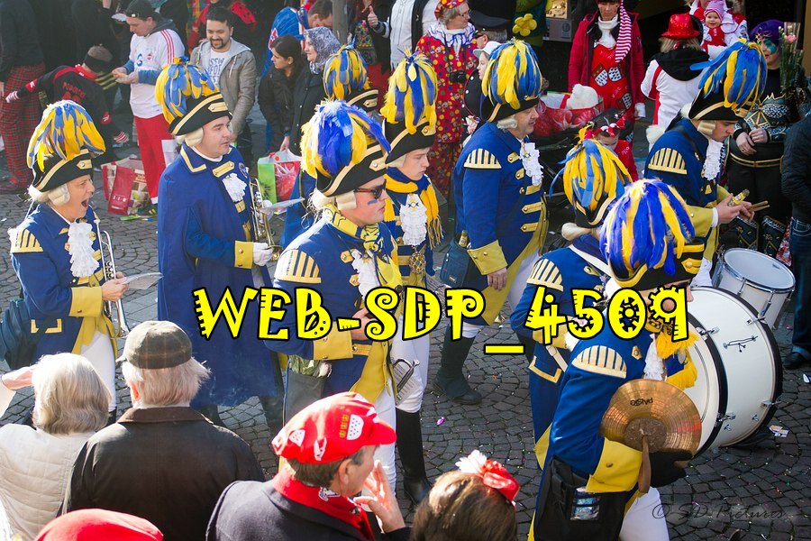 WEB SDP 4509