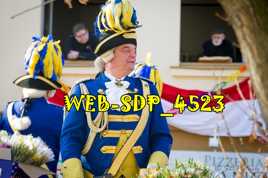 WEB SDP 4523