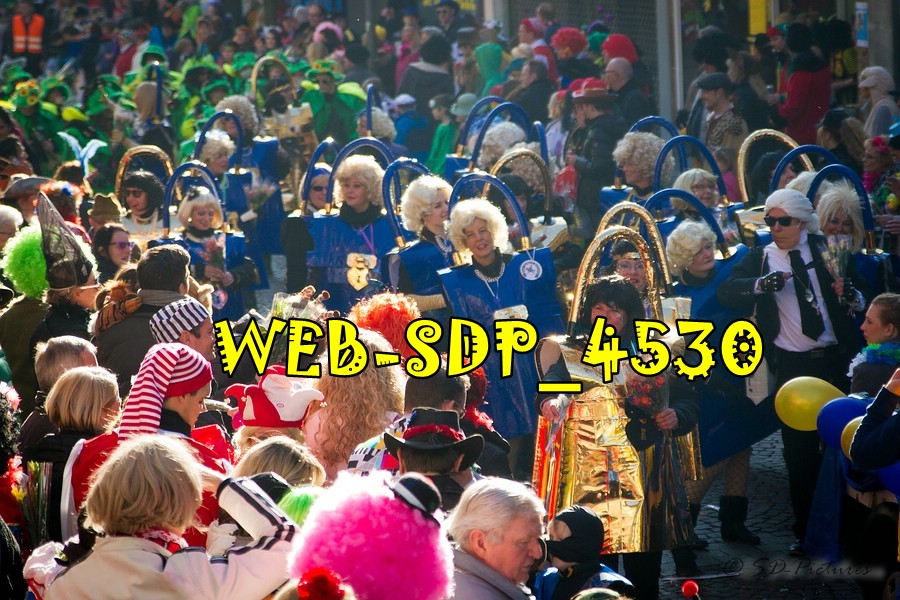 WEB SDP 4530