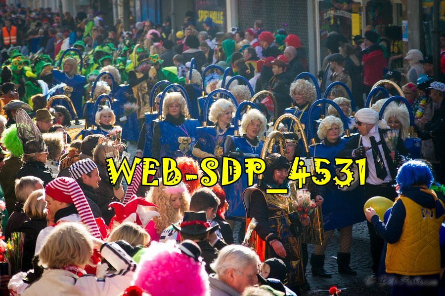 WEB SDP 4531