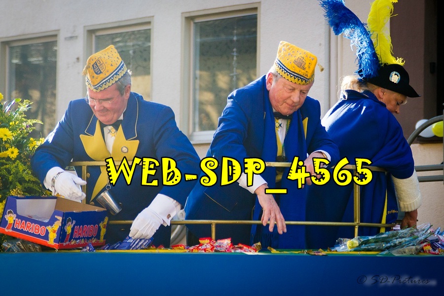 WEB SDP 4565