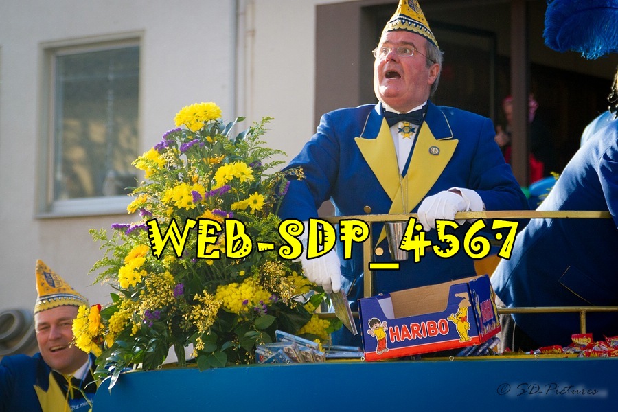 WEB SDP 4567