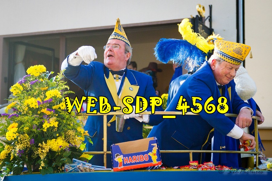 WEB SDP 4568