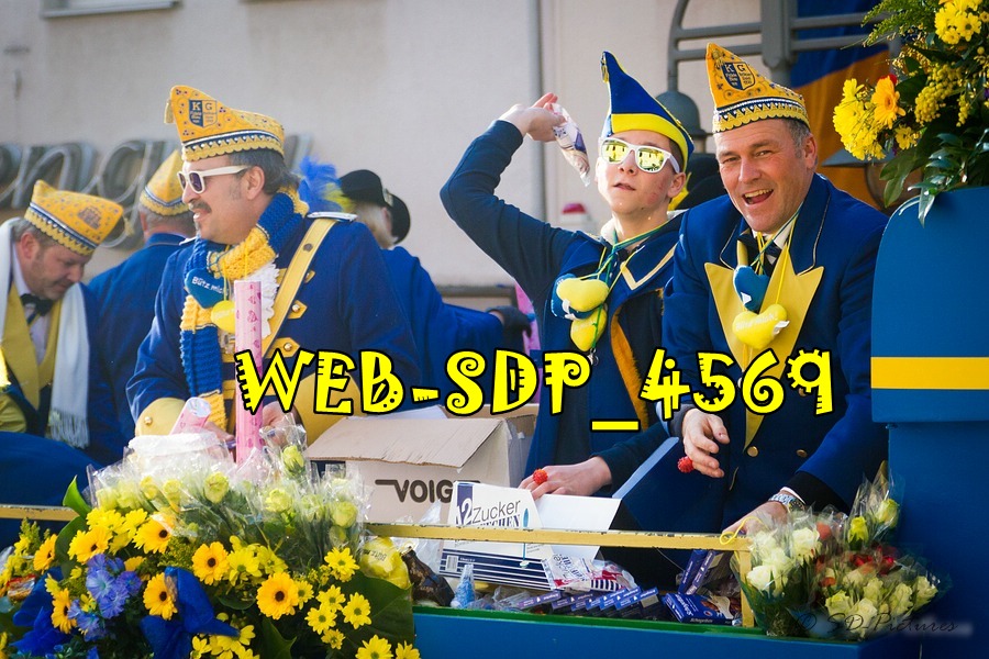 WEB SDP 4569