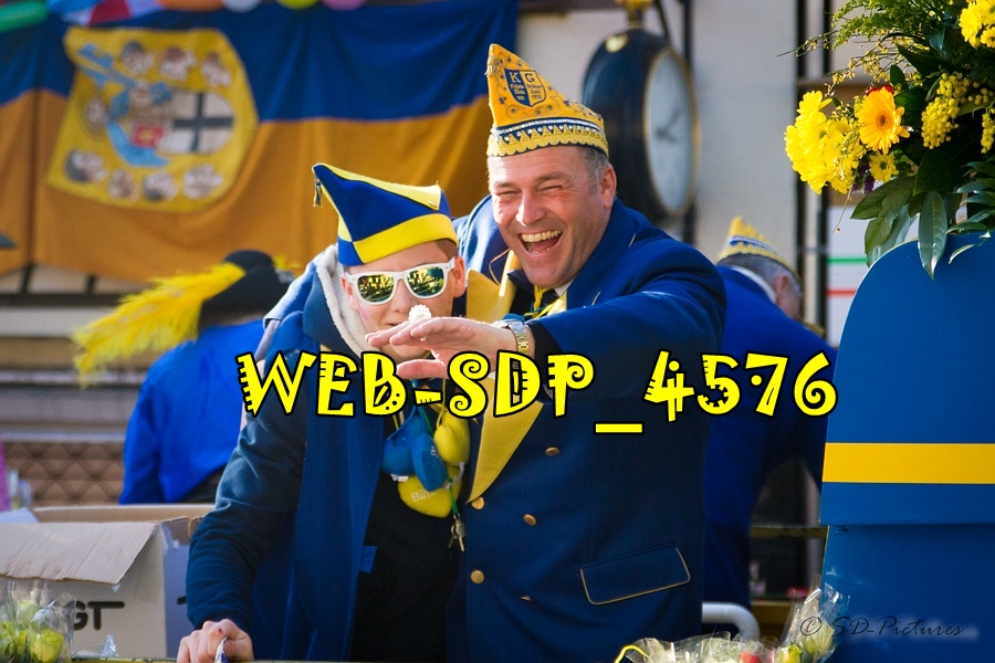 WEB SDP 4576