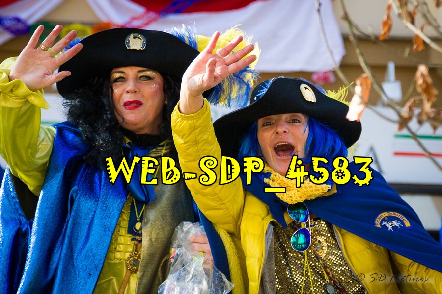 WEB SDP 4583