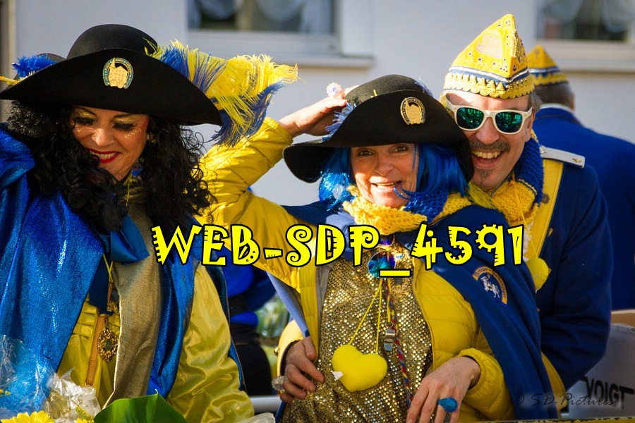 WEB SDP 4591