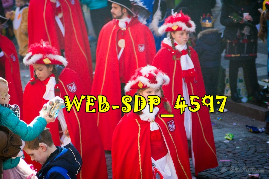 WEB SDP 4597