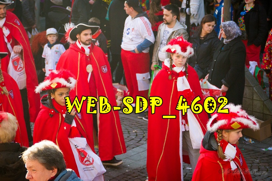 WEB SDP 4602