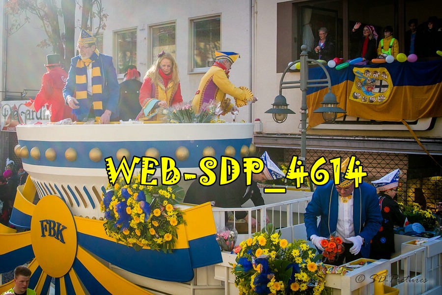 WEB SDP 4614