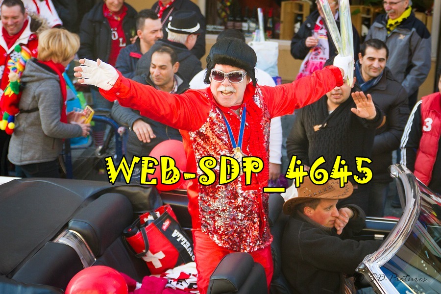 WEB SDP 4645