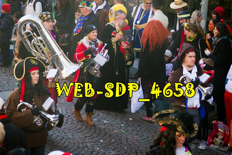 WEB SDP 4658