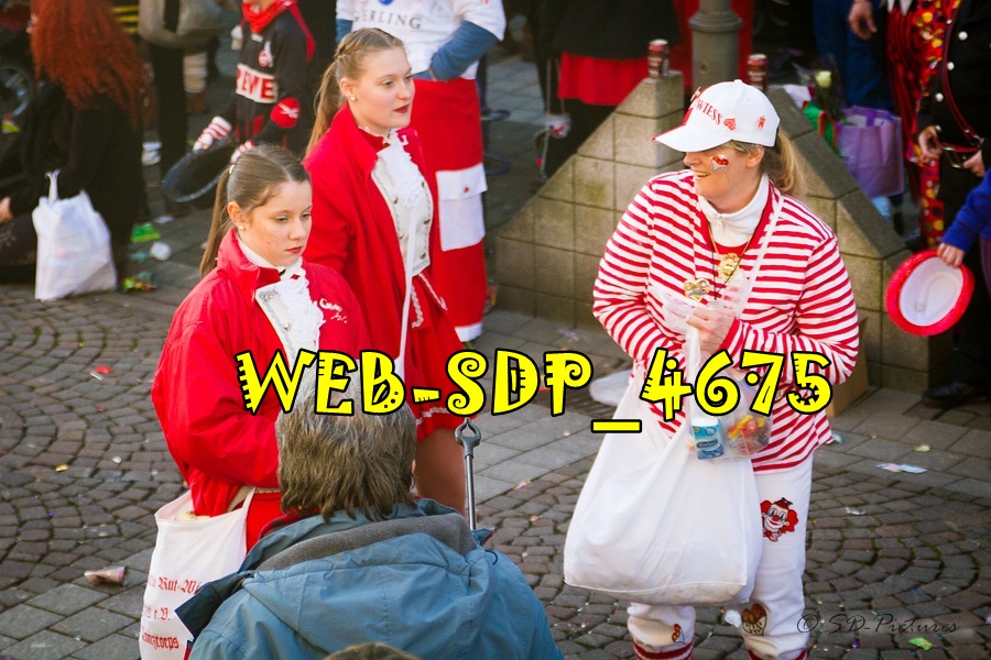 WEB SDP 4675