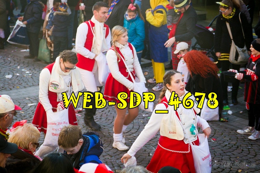 WEB SDP 4678