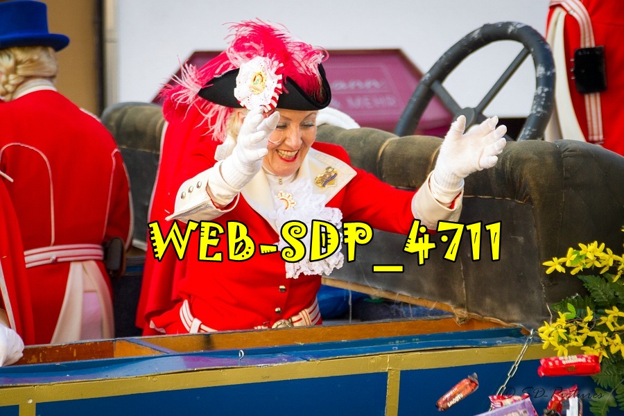WEB SDP 4711