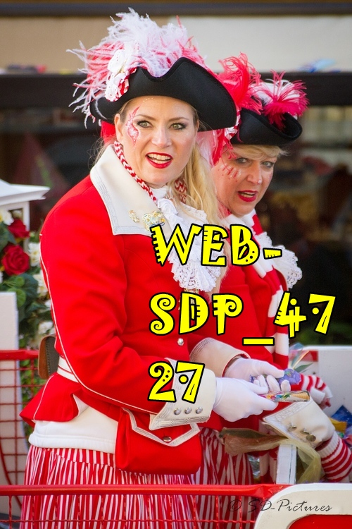 WEB SDP 4727
