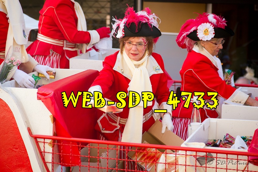 WEB SDP 4733