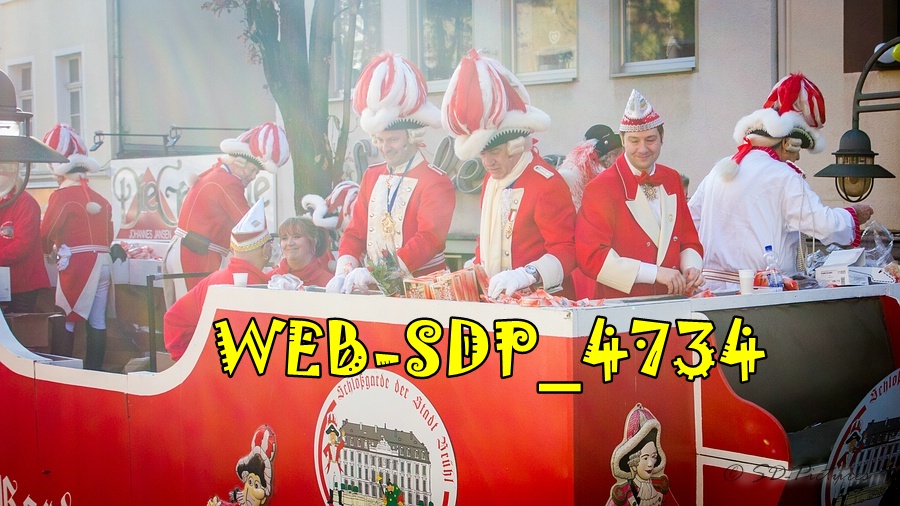 WEB SDP 4734