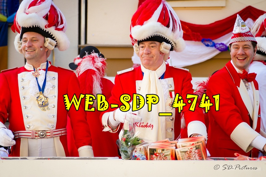 WEB SDP 4741