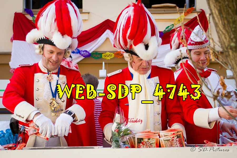 WEB SDP 4743