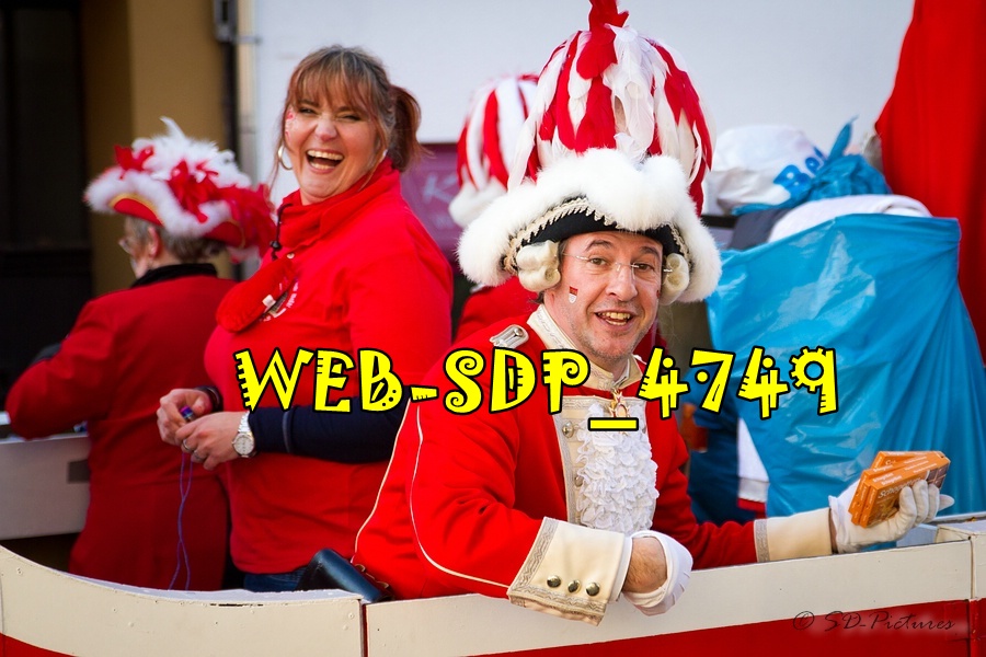 WEB SDP 4749